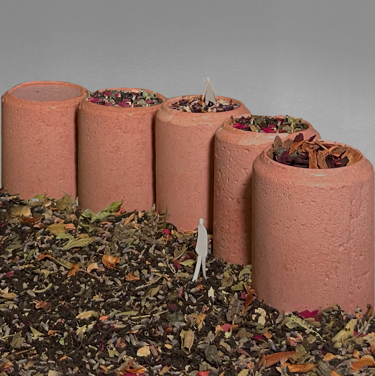 Paola Bergier + Léa Binggeli > Recrear el límite