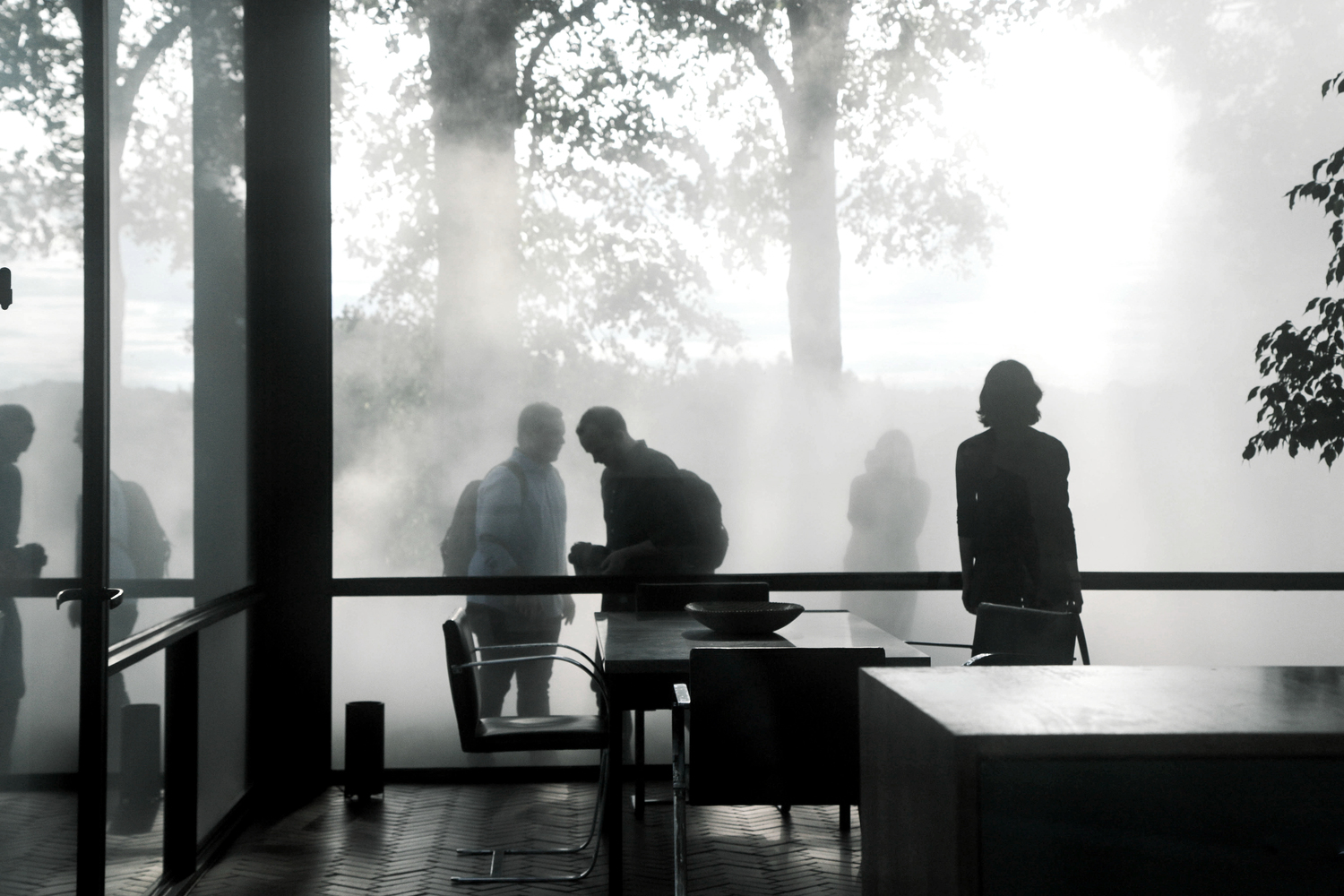 philip johnson glass house fog