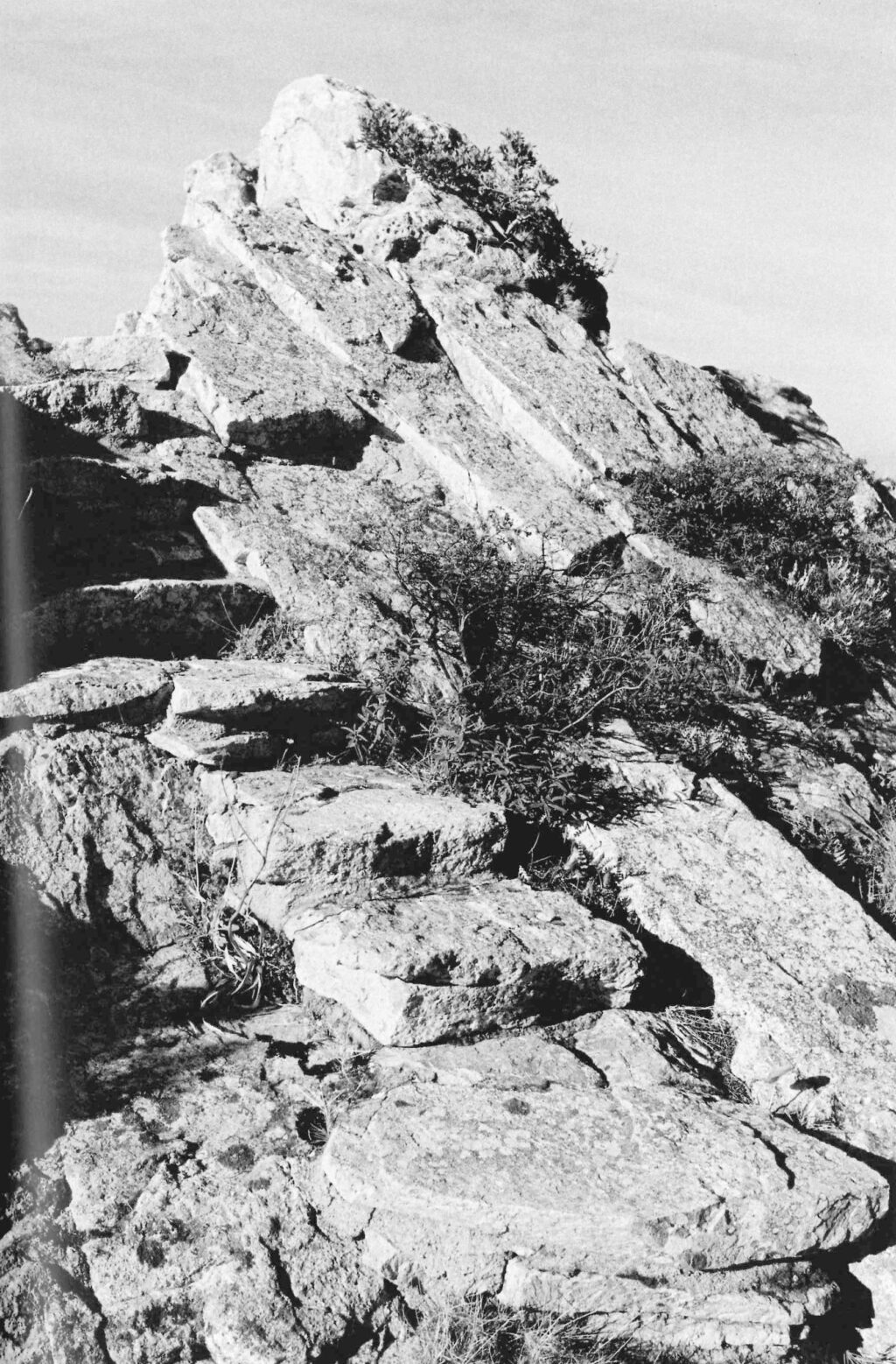 Alberto Ponis > Hartley House HIC