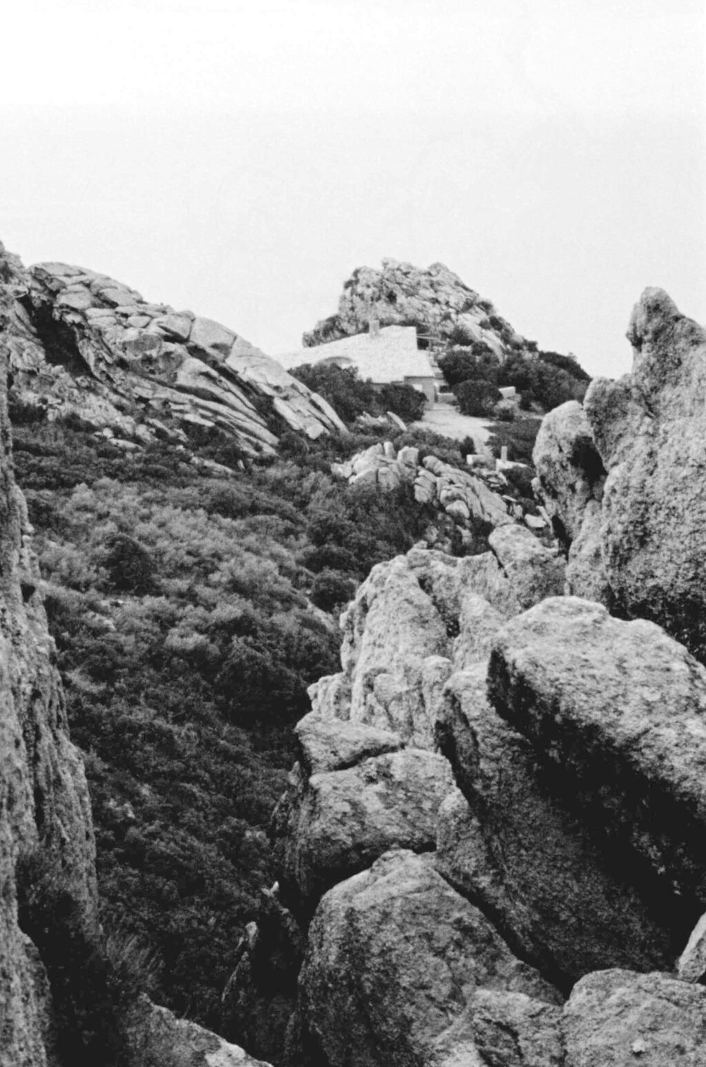 Alberto Ponis > Hartley House HIC