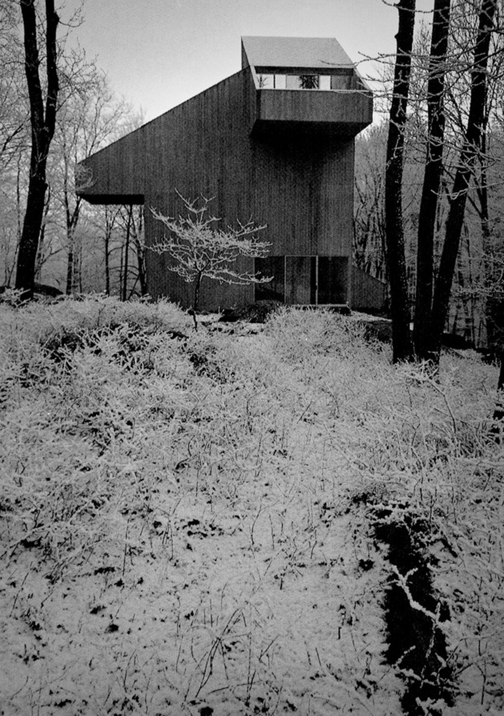 Myron Goldfinger > The Myron and June Goldfinger House