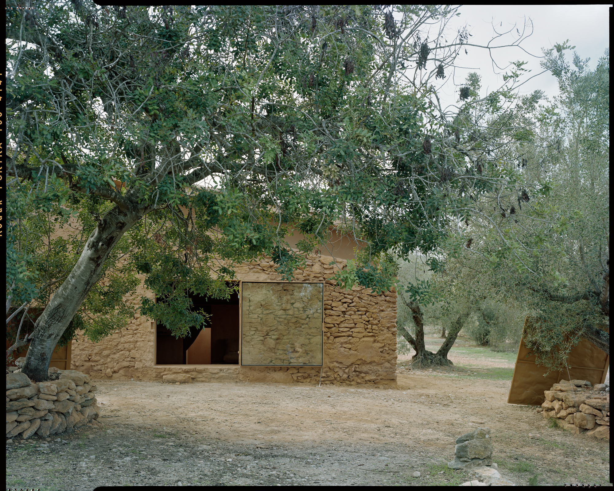 TEST > Human Shelter in an Olive Grove
