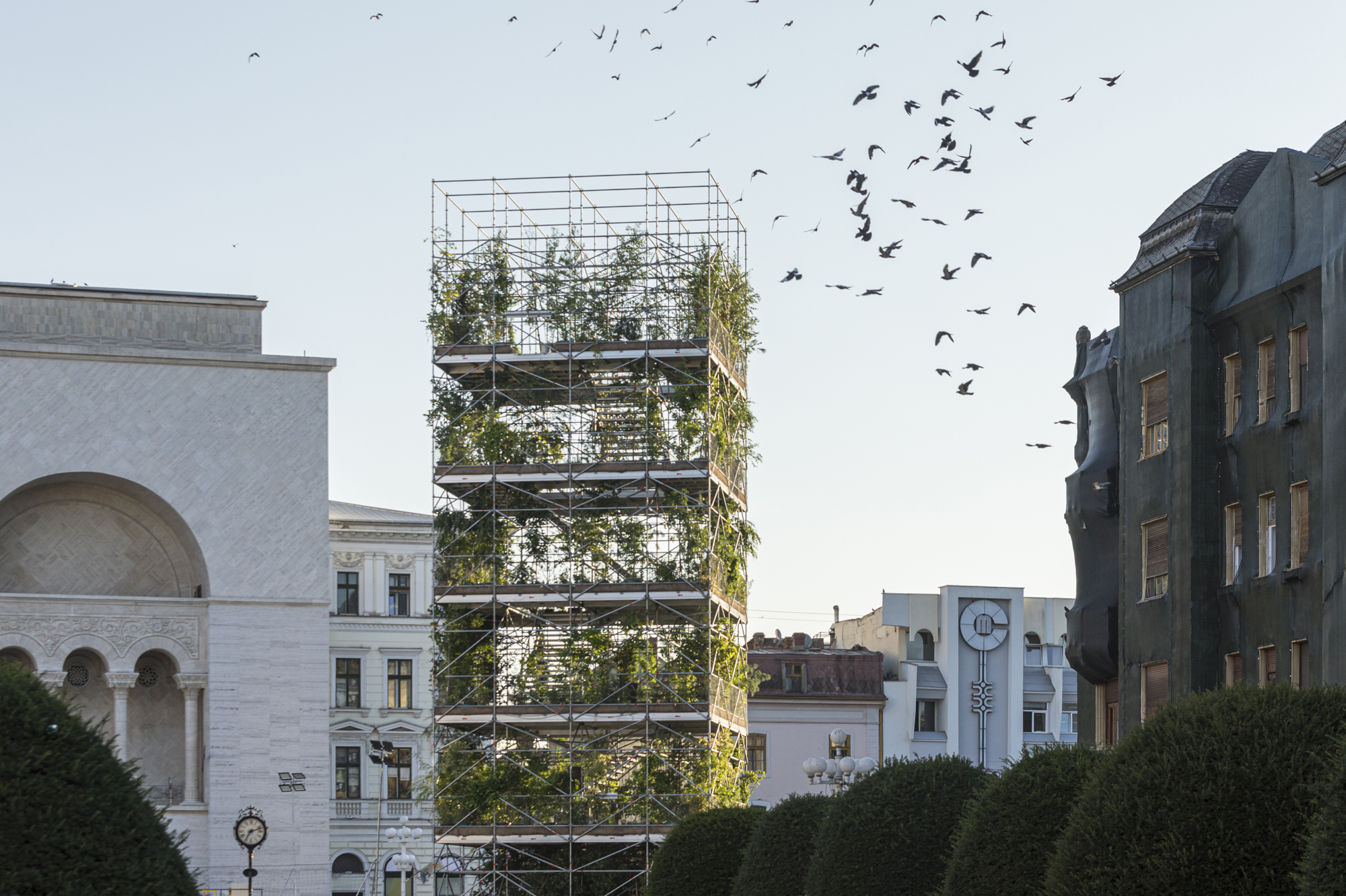 MAIO > Nursery: 1,306 Plants for Timisoara