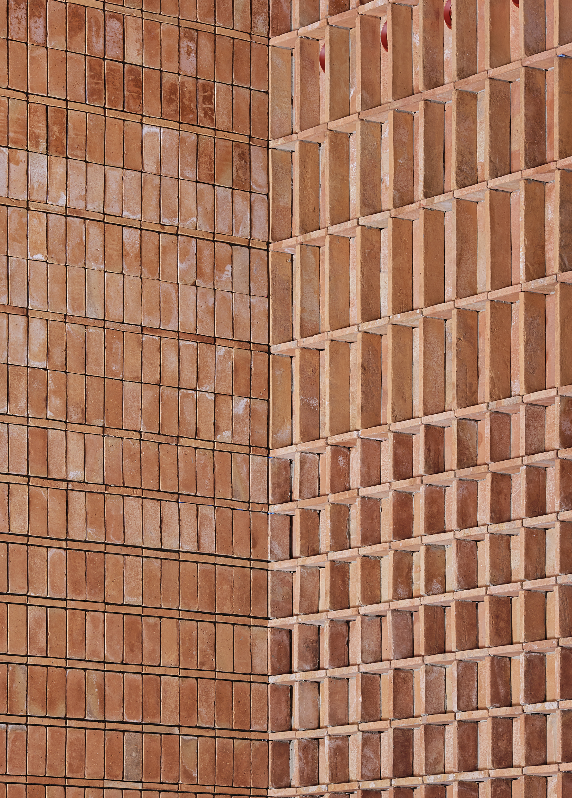 Arquitecturia > Rehabilitación Cooperativa Agrícola en Flix