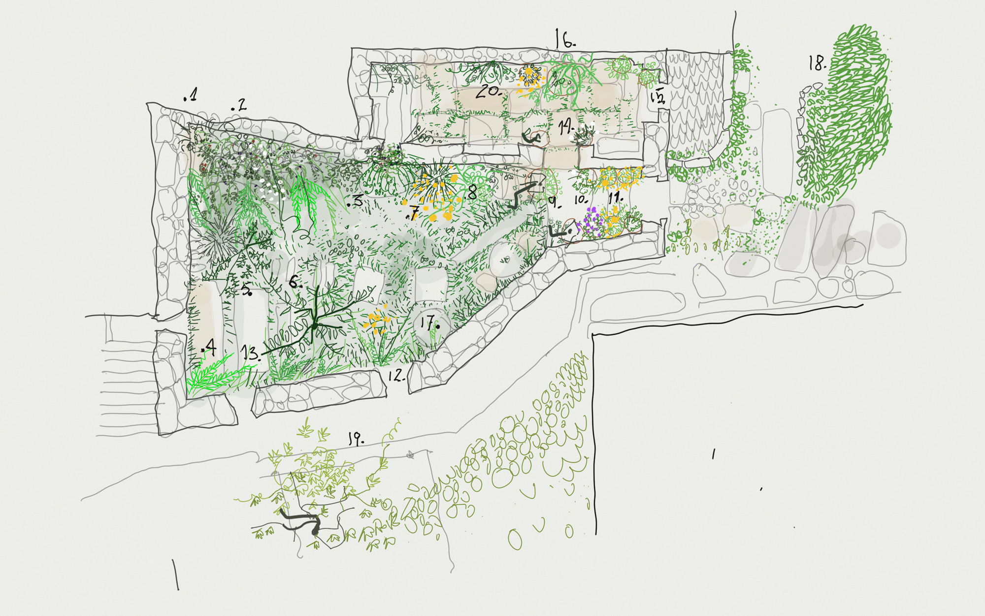 Arturo Franco > El Jardín de Panchés