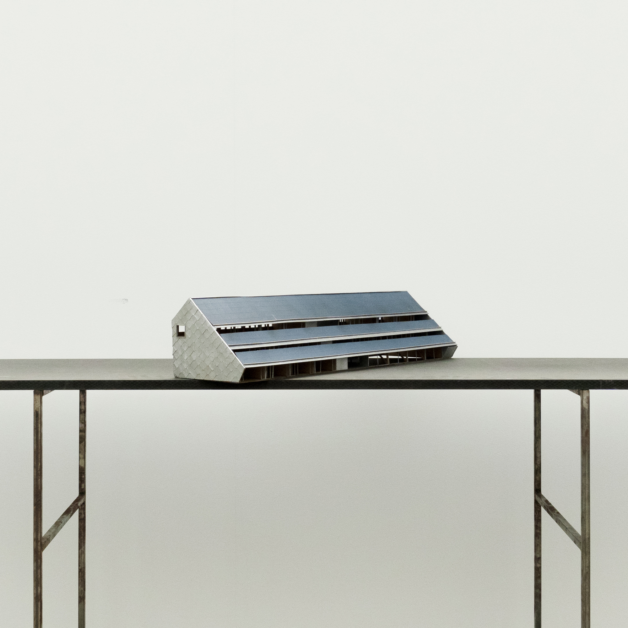 Rui Chen > Wettstein Park