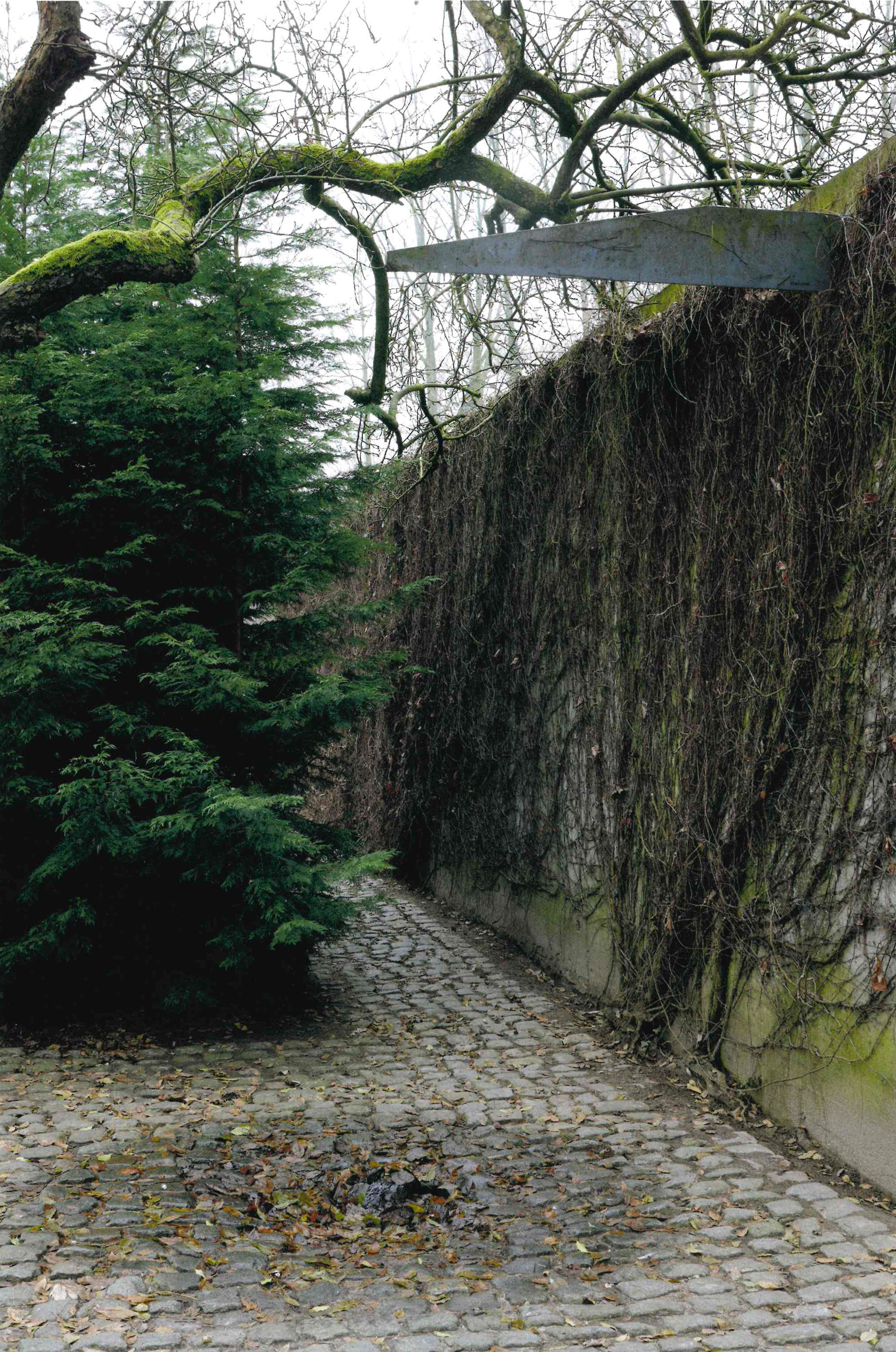 Juliaan Lampens | House Lampens – Van Hove